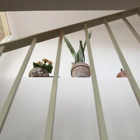 Casa Mediterraneo *